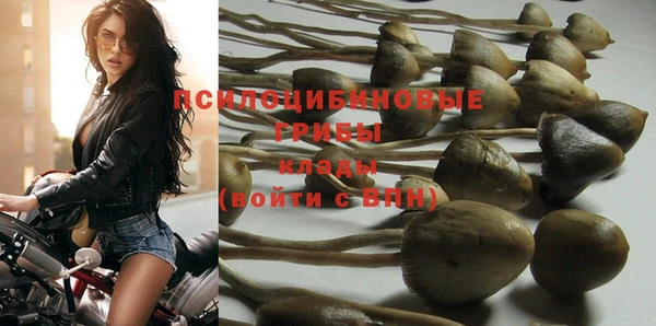 спайс Ладушкин