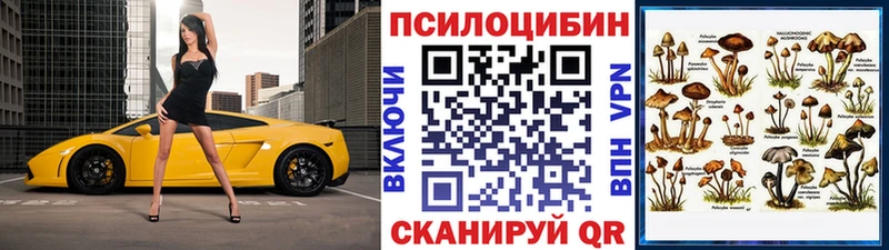 Купить где  Архангельск  Псилоцибиновые грибы Cubensis 